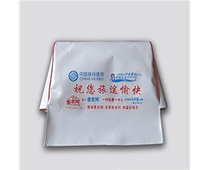 汽车广告头套