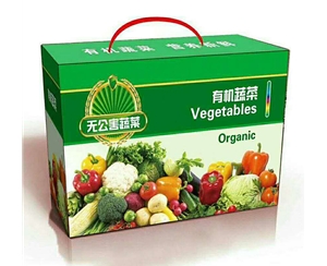 纸箱